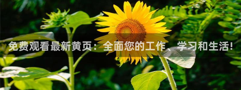 包子漫画下载官方正版：免费观看最新黄页：全面您的工作、学习和生活!