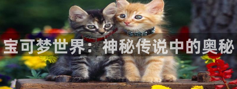 包子漫画在线阅读免费：宝可梦世界：神秘传说中的奥秘